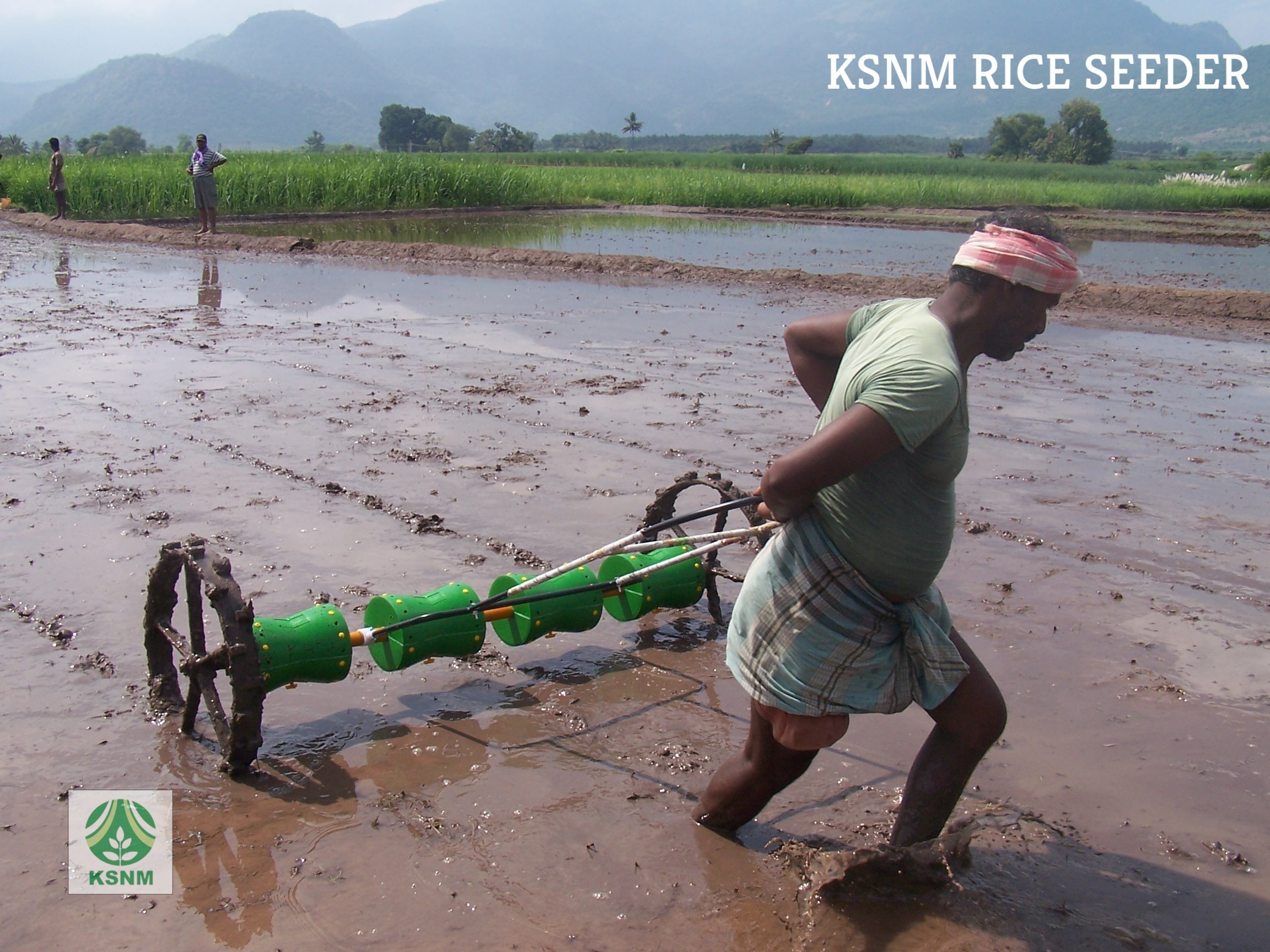 8 Row Plastic Drum Seeder Used For Paddy Seeding