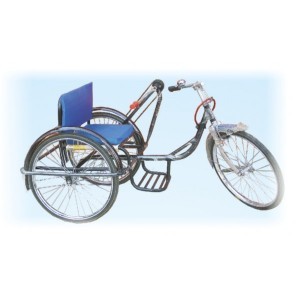 Standard Tricycle