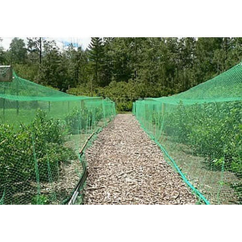 Nylon Anti Bird Netting Services