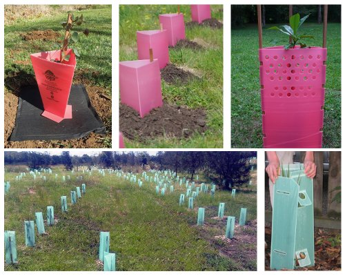 Transparent Tree Guard Pp Corrugated Sheet