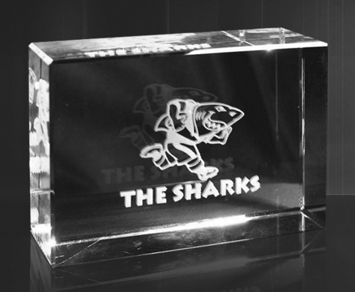 3D Paper Weight