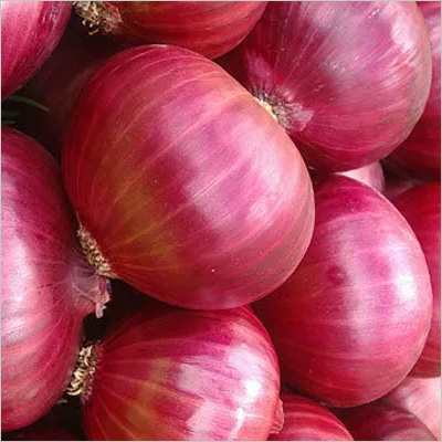 ताजा लाल प्याज