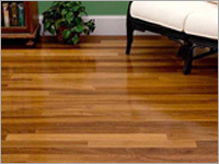 टिक पार्केट