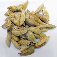 अब्दुल बेदी बादाम