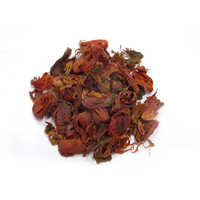 जावित्री