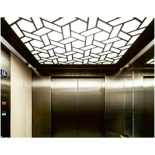 Industrial Passenger Elevators
