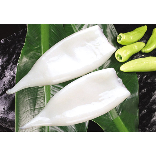 जापानी फ्लाइंग स्क्वीड (टोडारोड्स पैसिफिकस)