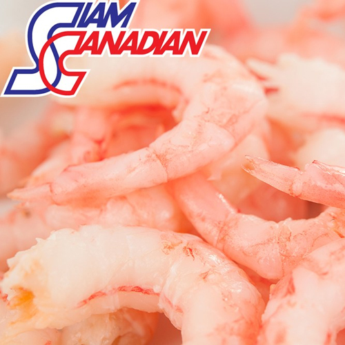 Pink Shrimp (Metapenaeus Affinis, Metapenaeus Ensis)