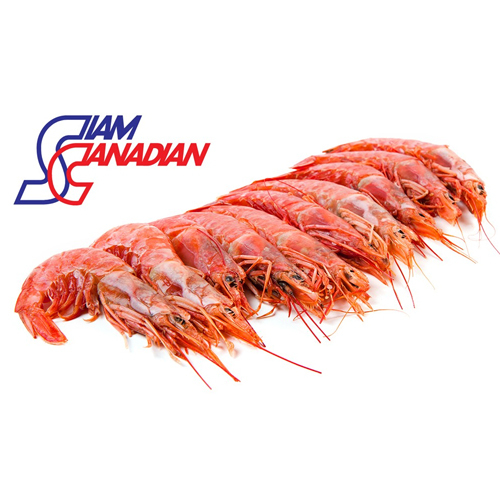 Red Shrimp (Solenocera Melantho)