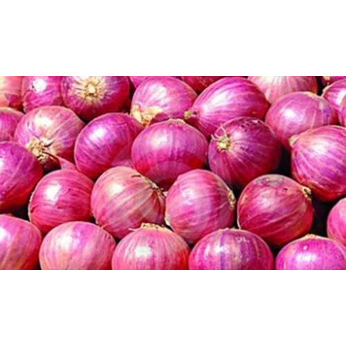 भारतीय लाल प्याज