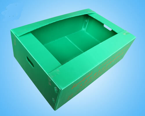 Plastic Corrugated Seed Seedling Box