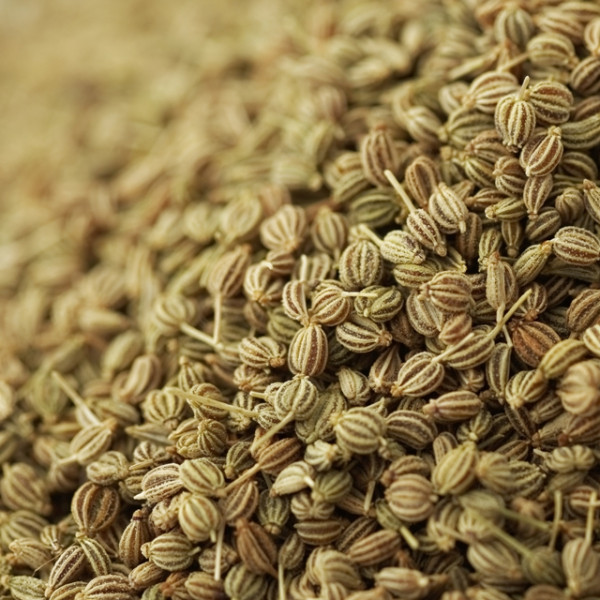 Ajwain Extract - Food Grade Powder | Natural Digestive Aid, Pain Relief, Hair Health, Cold Remedy