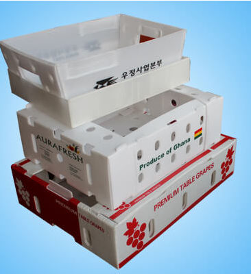 Plastic Foldable Vegetable Corrugated Boxes