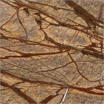 Rainforest Brown Marble - 10-30 Mm Thickness, Polished & Honed Finish | Elegant Brown Base With Dark Branching Patterns