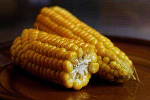 Yellow Maize