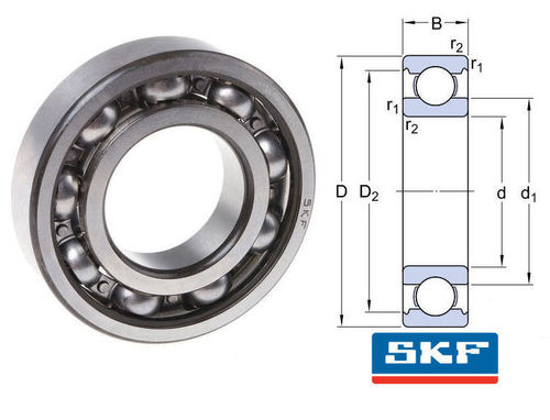 Silver 6014 Bearing