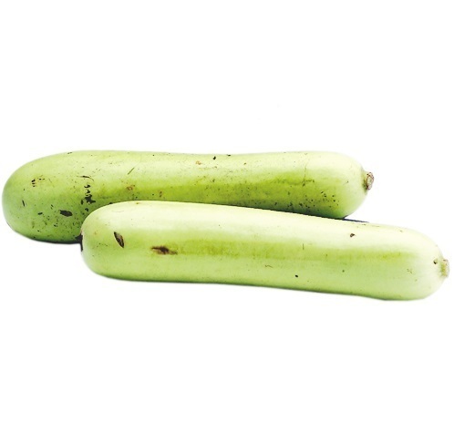 Bottle Gourd - Variable Size, Elongated Green Vegetable | Mild Taste, Firm Texture, Rich in Dietary Fiber, Vitamins, and Minerals