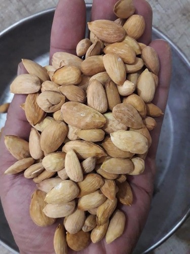 Almond Gurbandi