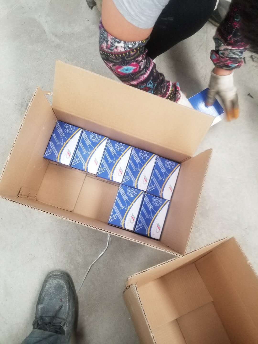 Round Fine Thread Drywall Screw