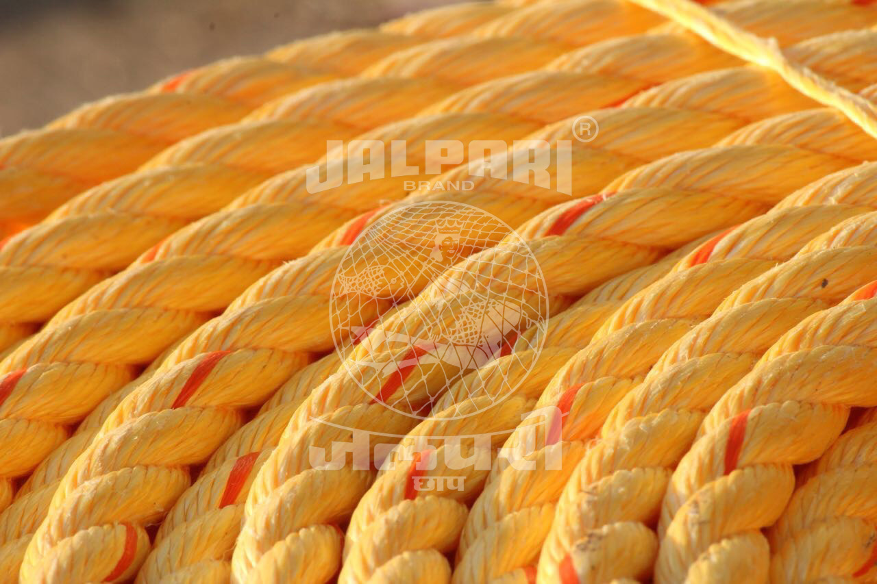 Pp Danline Rope - Polypropylene, 2mm To 16mm Diameter | Uv Stabilized, Weather Resistant, Smooth Handling