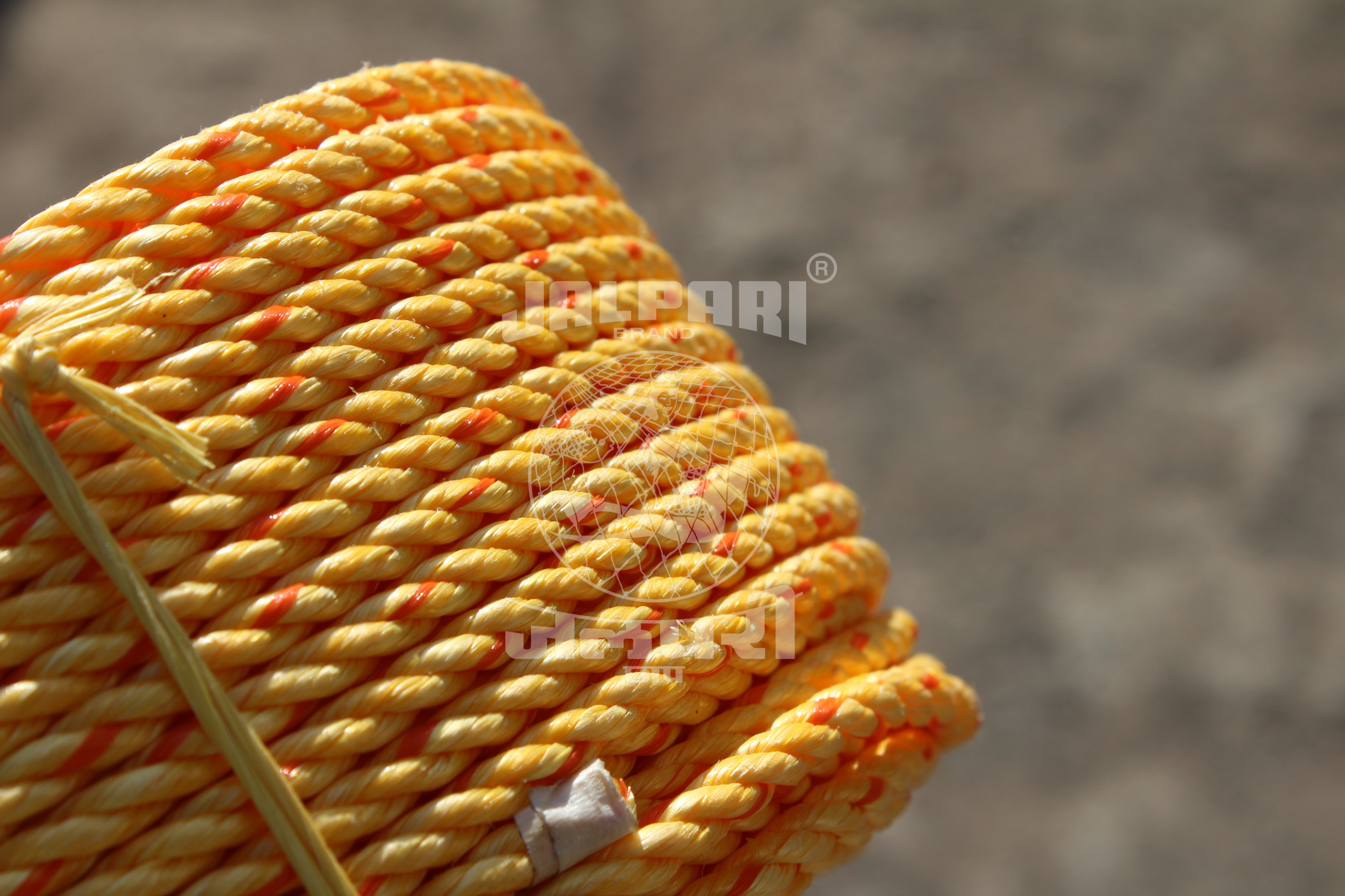 Pp Danline Rope - Polypropylene, 2mm To 16mm Diameter | Uv Stabilized, Weather Resistant, Smooth Handling