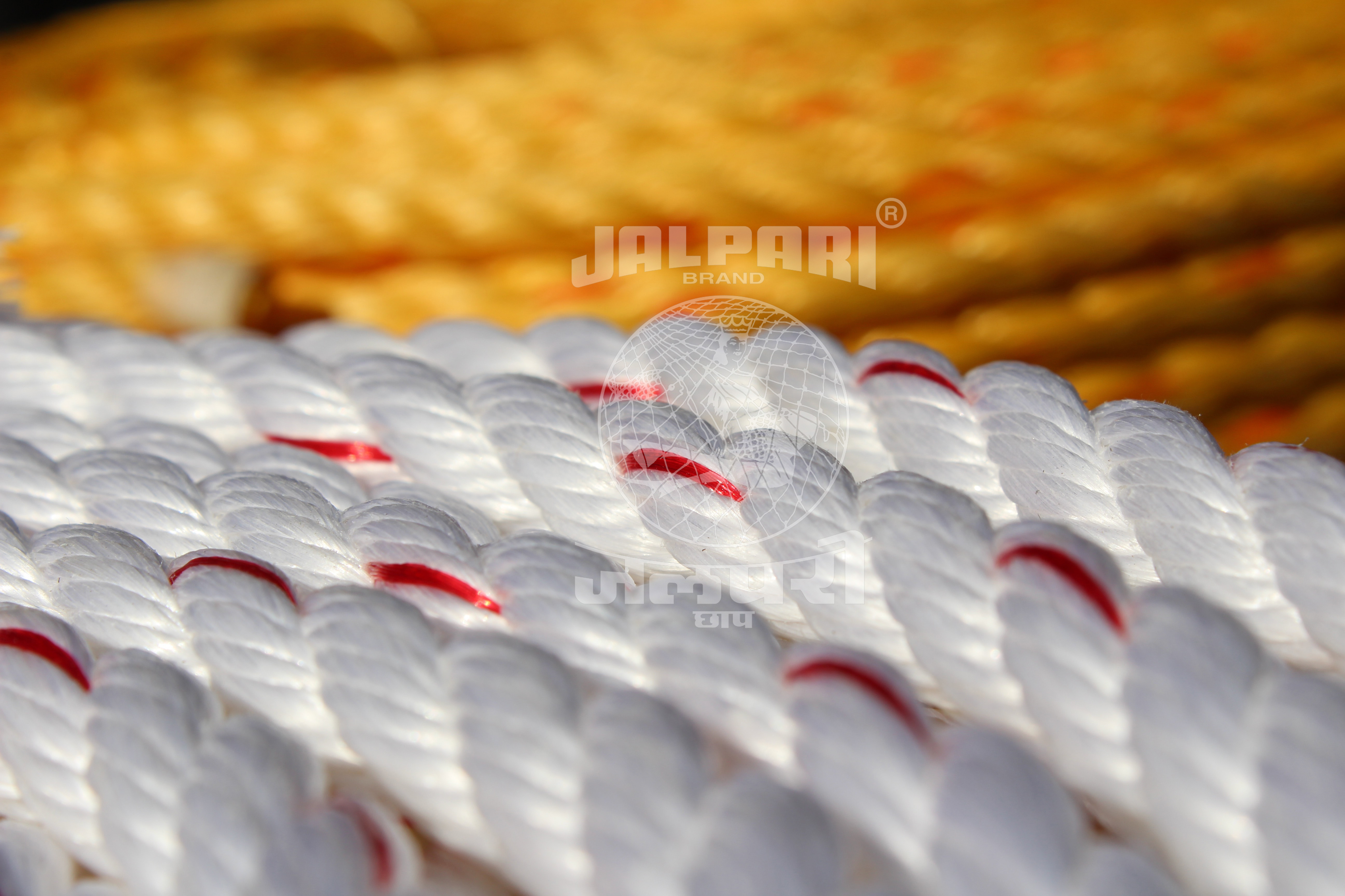 Pp Danline Rope - Polypropylene, 2mm To 16mm Diameter | Uv Stabilized, Weather Resistant, Smooth Handling