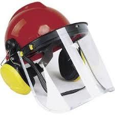Gas helmet