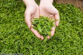 White Tea Long Leaves