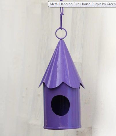 Galvanized Bird House