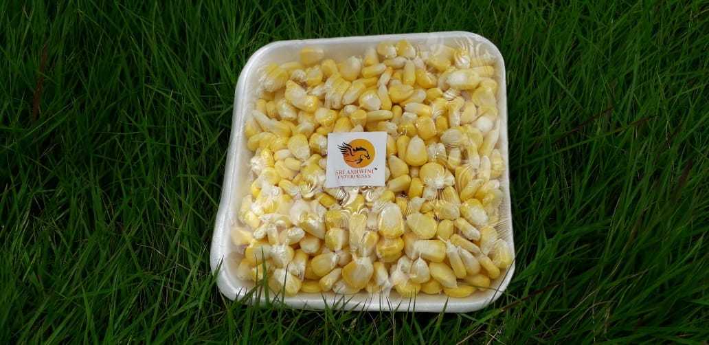 American Sweet Corn - Length: 15-20cm, Color: Yellow | A-grade Quality, Fresh Produce, High Nutrients, Sweet Taste, Digestive Aid
