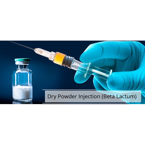 Dry Powder Pharmaceutical Injection - Beta Lactam Composition, Designed for Buffaloes & Cows, Moisture Resistant Glass Vial, Laboratory Tested, Zero Side-Effects, Room Temperature Storage