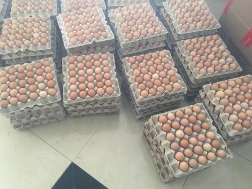 ताजा अंडे