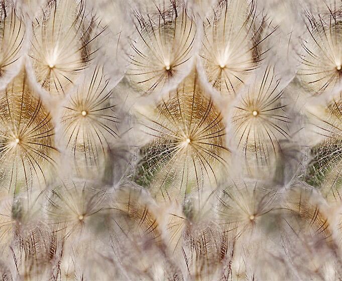 Fancy Digital Print Fabric - Cotton Material, Printed Pattern | Ideal For Ethnic Wear And Garment Exporters