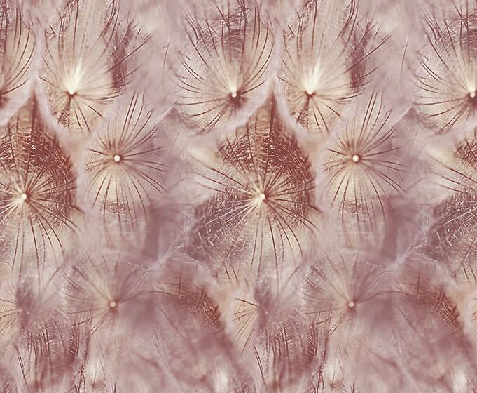 Fancy Digital Print Fabric - Cotton Material, Printed Pattern | Ideal For Ethnic Wear And Garment Exporters