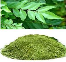 Curry Leaves Powder