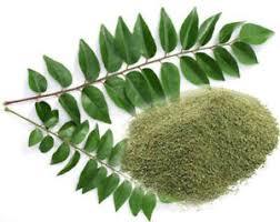 Curry Leaves Powder