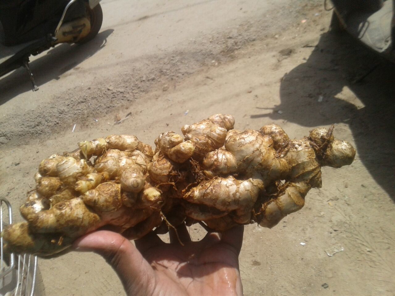 Fresh Ginger