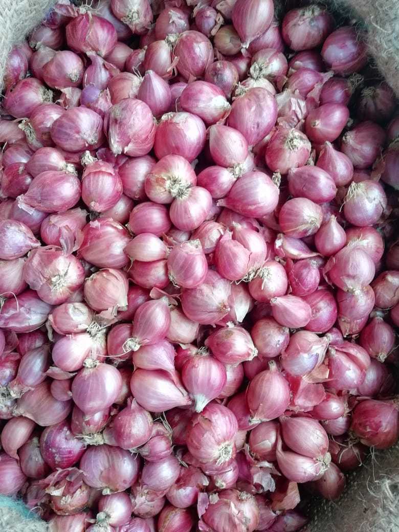 Small Onion - Pink, A Grade, Well Matured, Dried Vegetables | Healthy Heart, Immune Boost, Blood Pressure Control, Cancer Prevention, Diabetes Management, Stress Relief