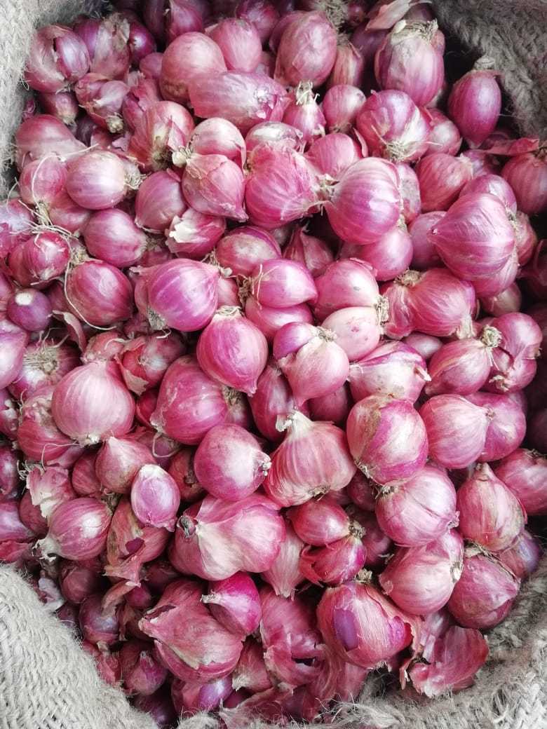 Small Onion - Pink, A Grade, Well Matured, Dried Vegetables | Healthy Heart, Immune Boost, Blood Pressure Control, Cancer Prevention, Diabetes Management, Stress Relief