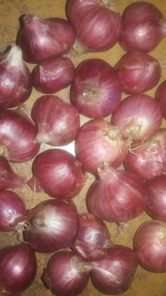Small Onion - Pink, A Grade, Well Matured, Dried Vegetables | Healthy Heart, Immune Boost, Blood Pressure Control, Cancer Prevention, Diabetes Management, Stress Relief