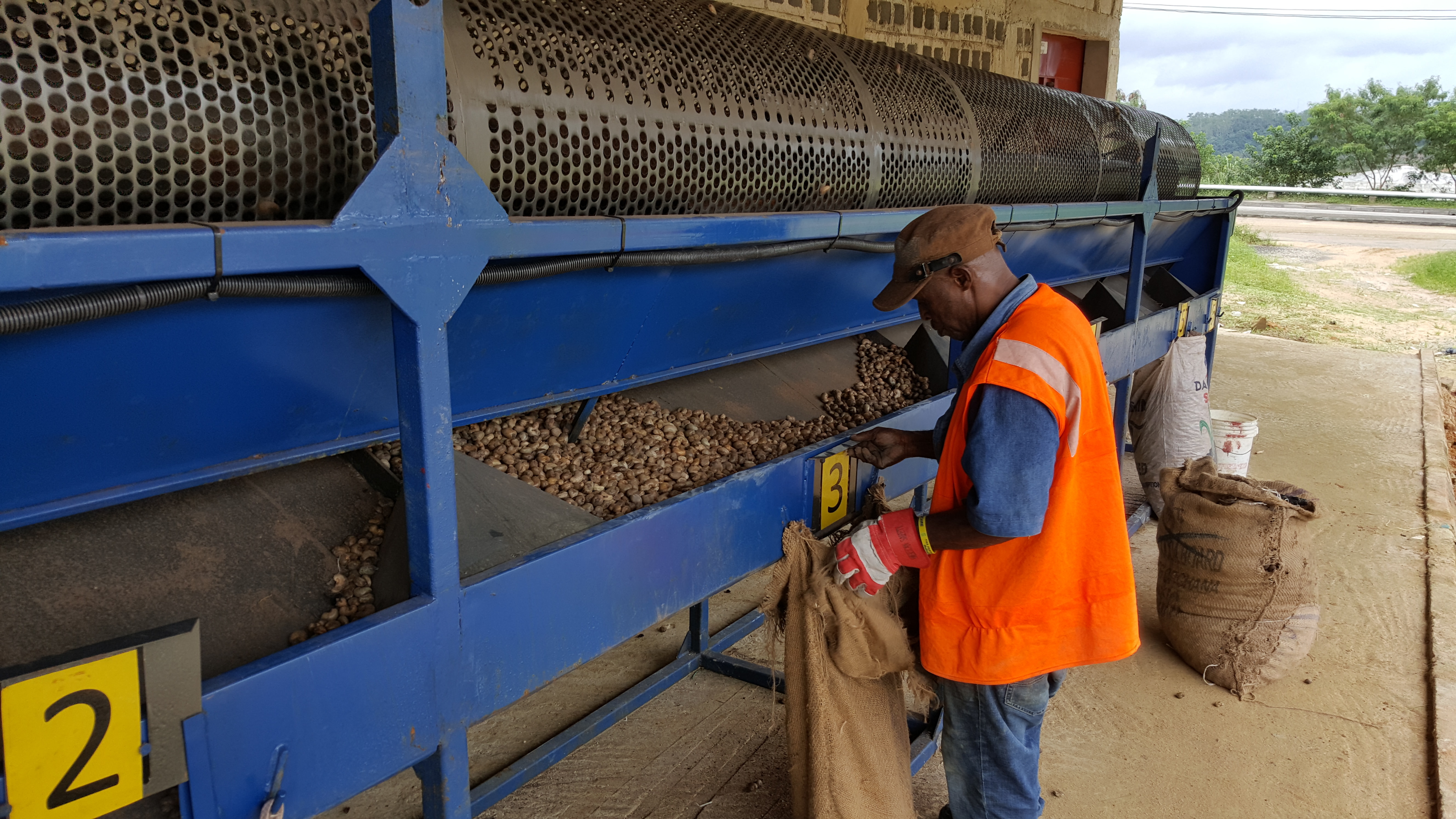 Raw Cashew Nut Grading Machine - Electric Start, Metal Construction | High Efficiency, Precise Design, Durable Quality, Fine Finishing
