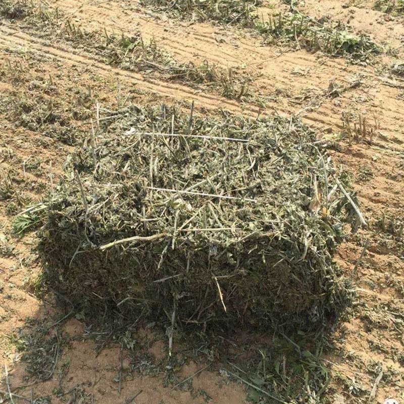 Square Hay Baler At Cheap Price And China Made Capacity: 2000 T/hr