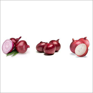 Fresh Onion