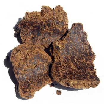 पशु का चारा