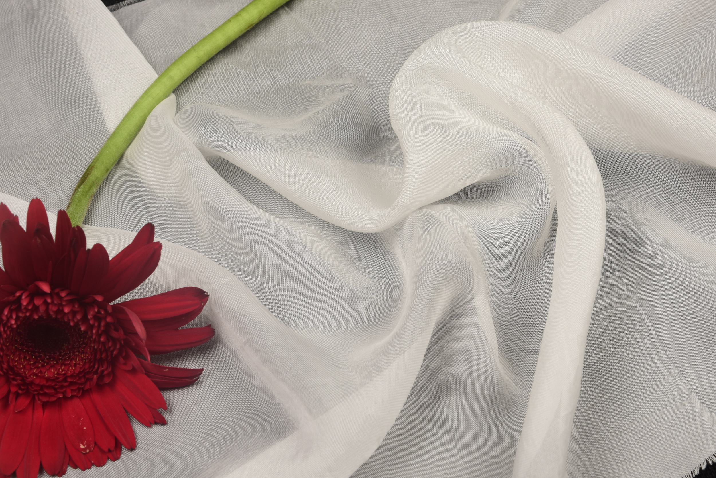 Georgette Butta Fabric