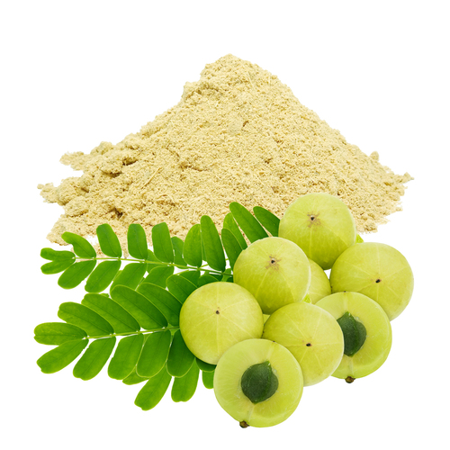 आंवला निष्कर्ष