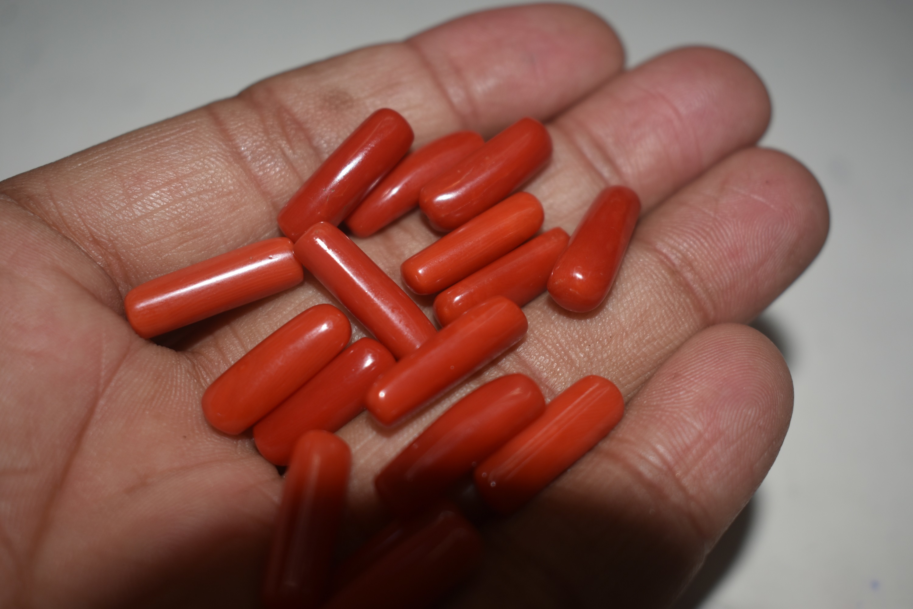 Red Coral Stone - Coral Material, Various Sizes, Deep Red Color, 3.5-4 Hardness, Vitreous Luster | Tubular Shape, Ideal For Jewelry And Decorative Use
