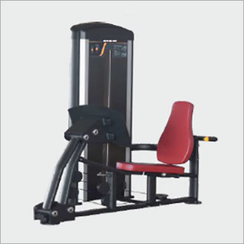Leg Press Leg Calf