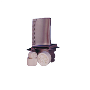 सेली फ्रंट