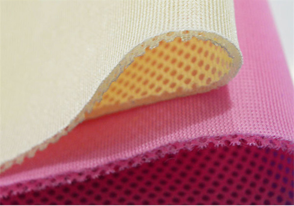 Polyester Mesh Fabric